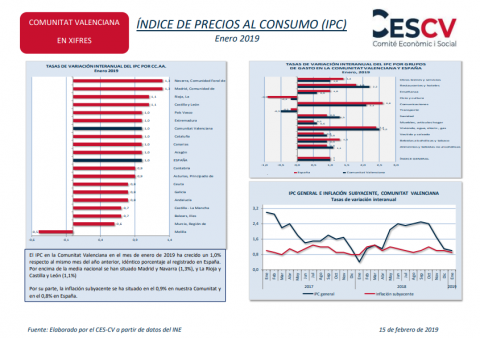 ÍNDICE DE PRECIOS AL CONSUMO (IPC) Enero 2019