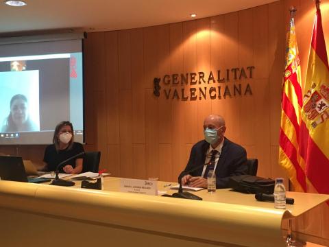 Ple celebrat el 15 de juliol de 2020