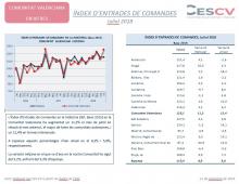 Índex d´Entrades de  Comandes.  Julio 2018