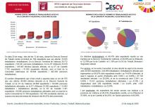 ERTO’s registrats per força major derivats crisi COVID-19. 20 maig de 2020