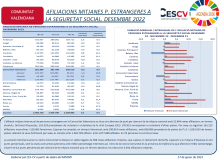 AFILIACIONS MITJANES PERSONES ESTRANGERES A LA SEGURETAT SOCIAL. DESEMBRE 2022