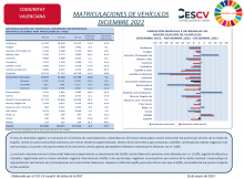 MATRICULACIONES DE VEHÍCULOS DICIEMBRE 2022