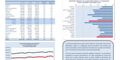 AFILIACIONES MEDIAS SEGURIDAD SOCIAL ENERO 2019