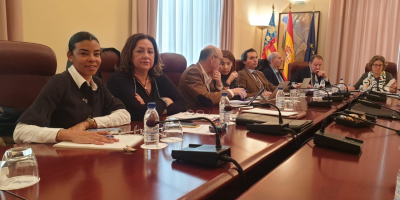 Comparecencias Grupo de Trabajo Bloque I y Bloque II Memoria Socieconómica y Laboral