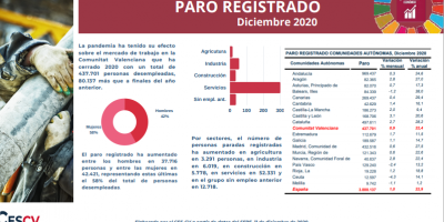 PARO REGISTRADO Diciembre 2020