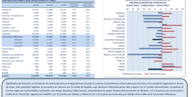 MATRICULACIONES DE VEHÍCULOS  JULIO 2023